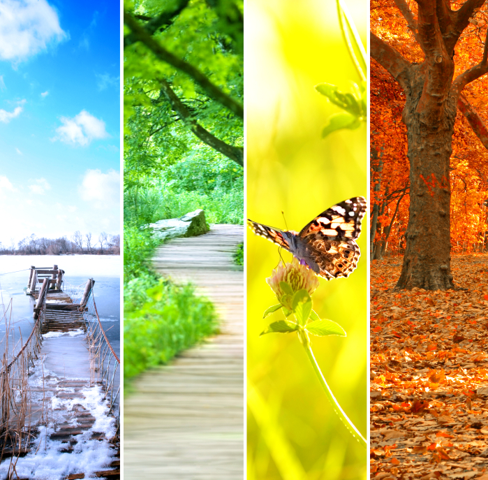 iStock_000034028566_Small Four seasons