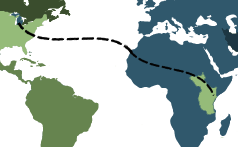 Michigan_to_Africa Michigan_to_Africa