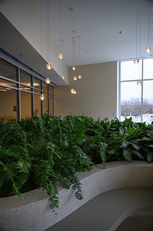 Pavilion Tour_1-8-20_DSC_0757 Pavilion Tour_1-8-20_DSC_0757
